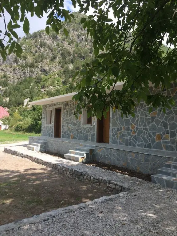 Buni Shqipes