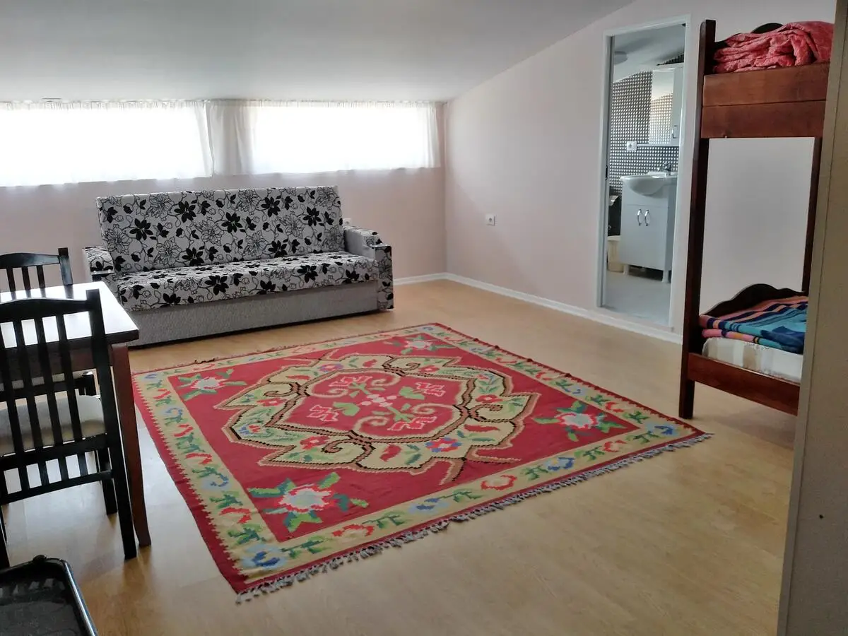 Rowdy Guest house at city centre