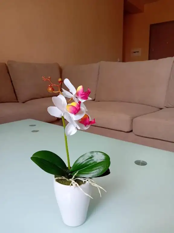 Resort Image