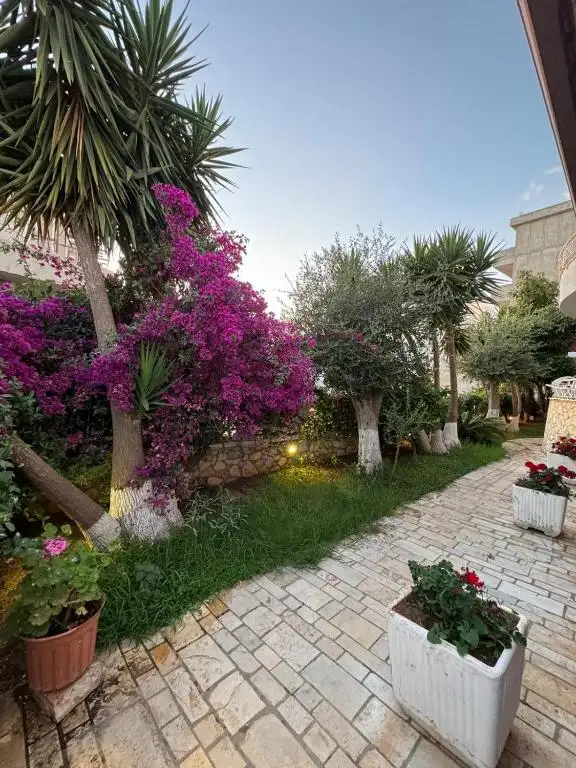 Atlantis Beach Apartament's 2