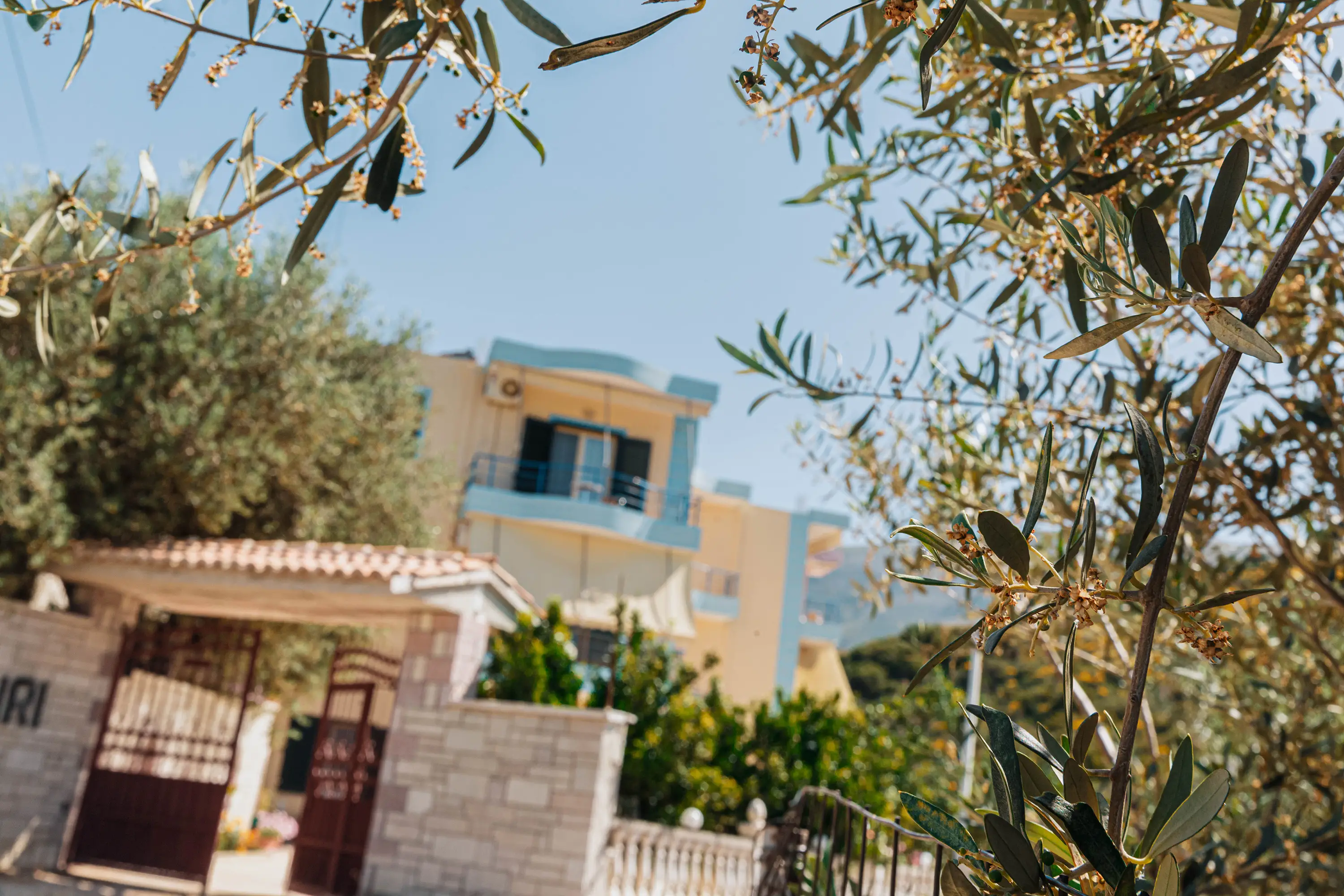 Resort Image