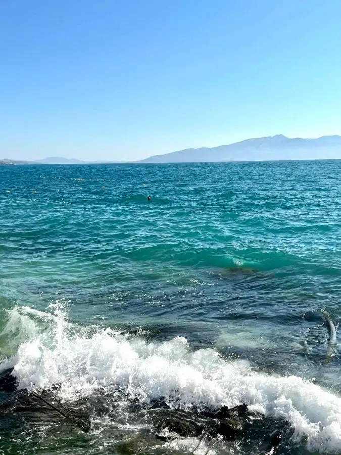 Bougainville Lemon Apartment