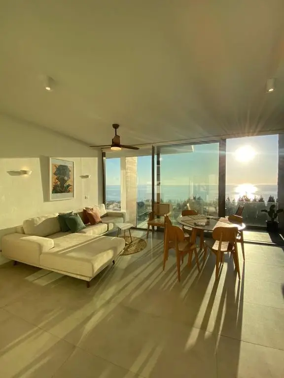 Penthouse Olea Residence