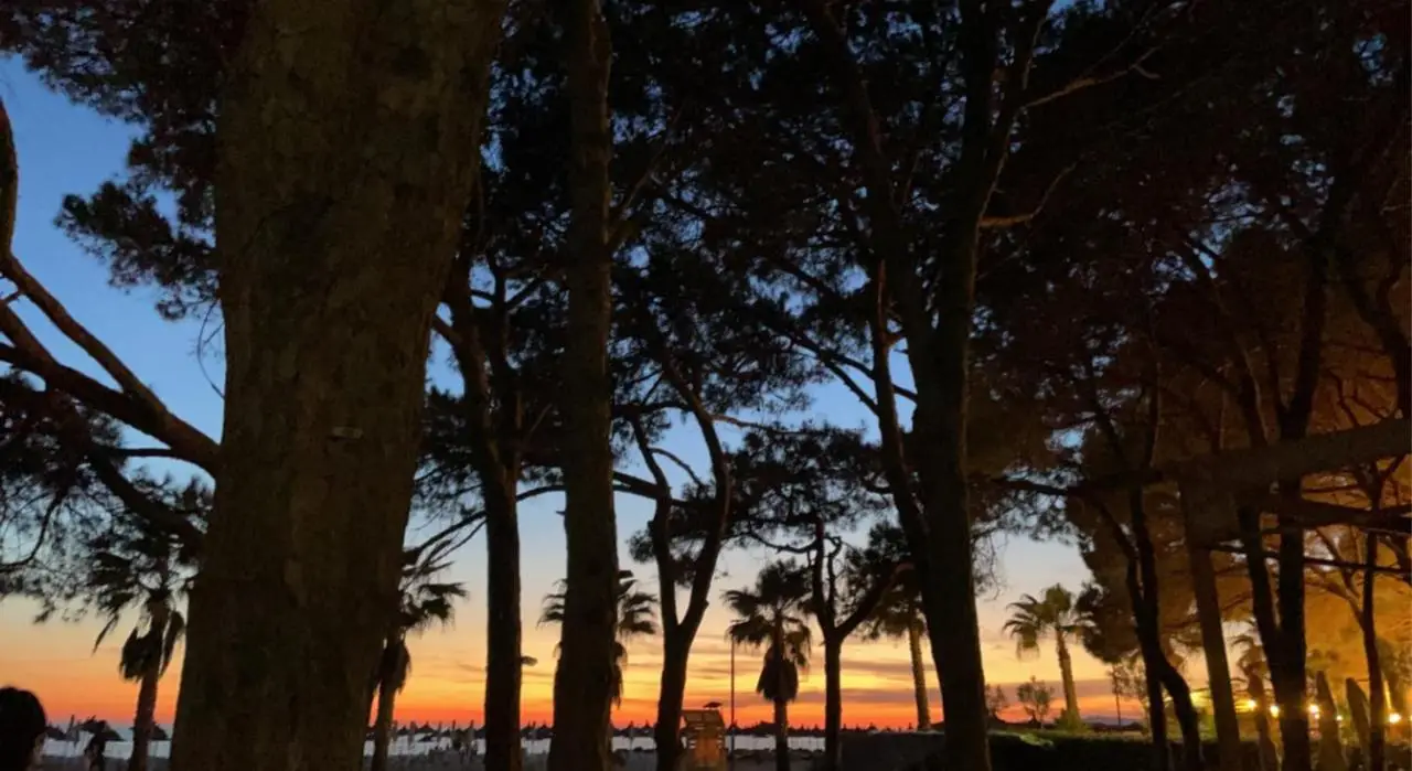 Sunset Apartment