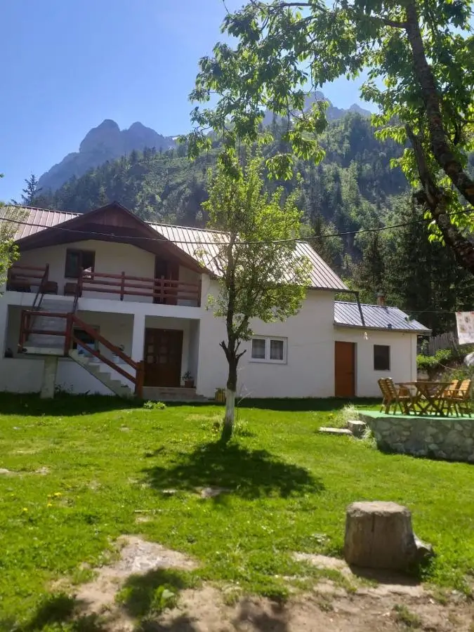 Bujtina Arlindi