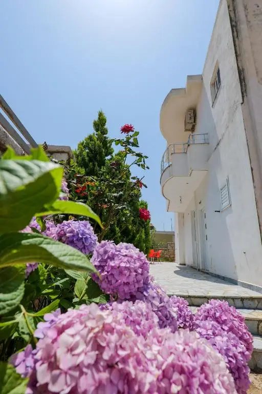 Resort Image