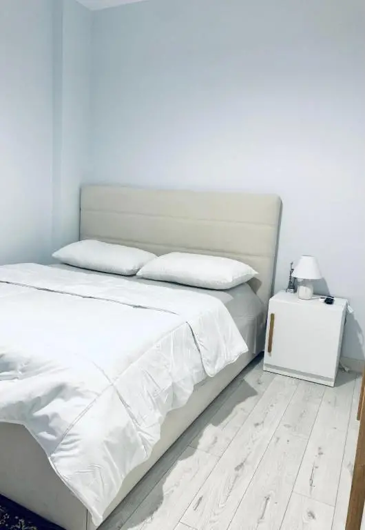 Lovely Apartment at the city of Tirana