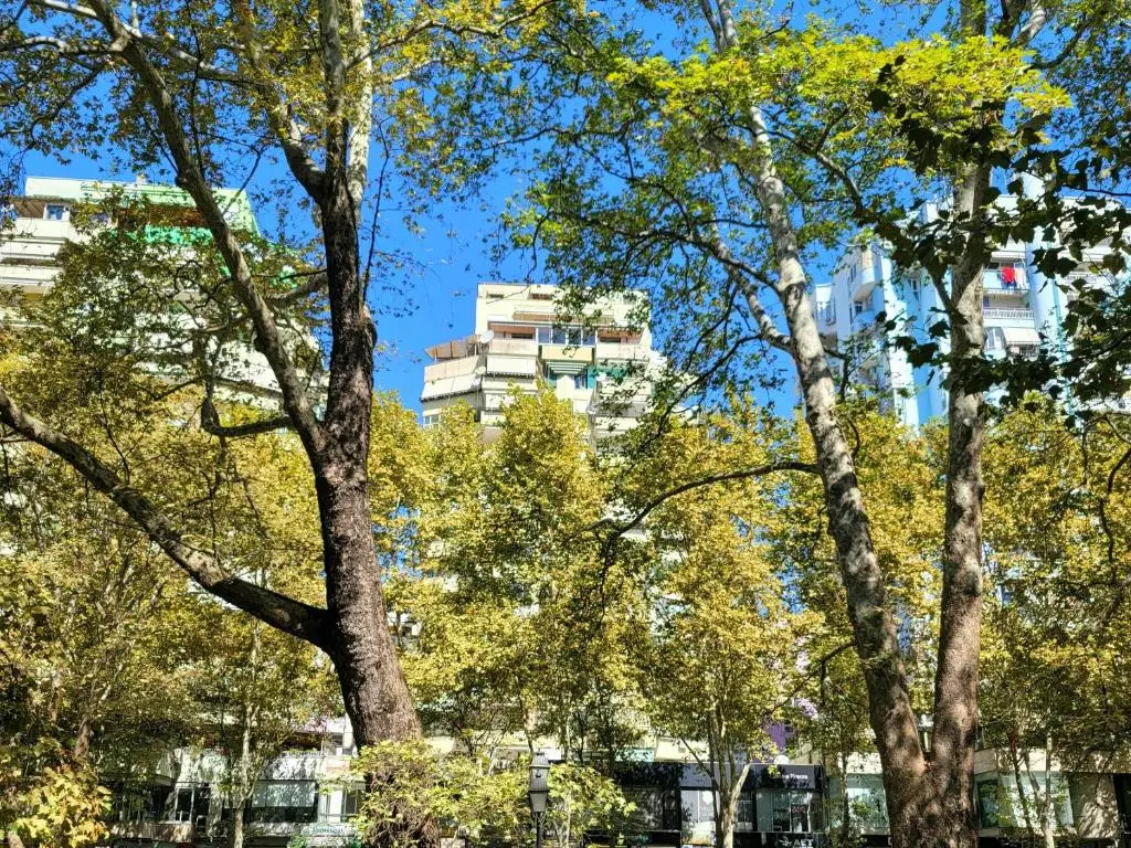 Panoramic Apartment