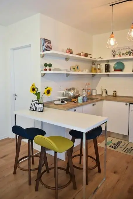 The Muse Apartment