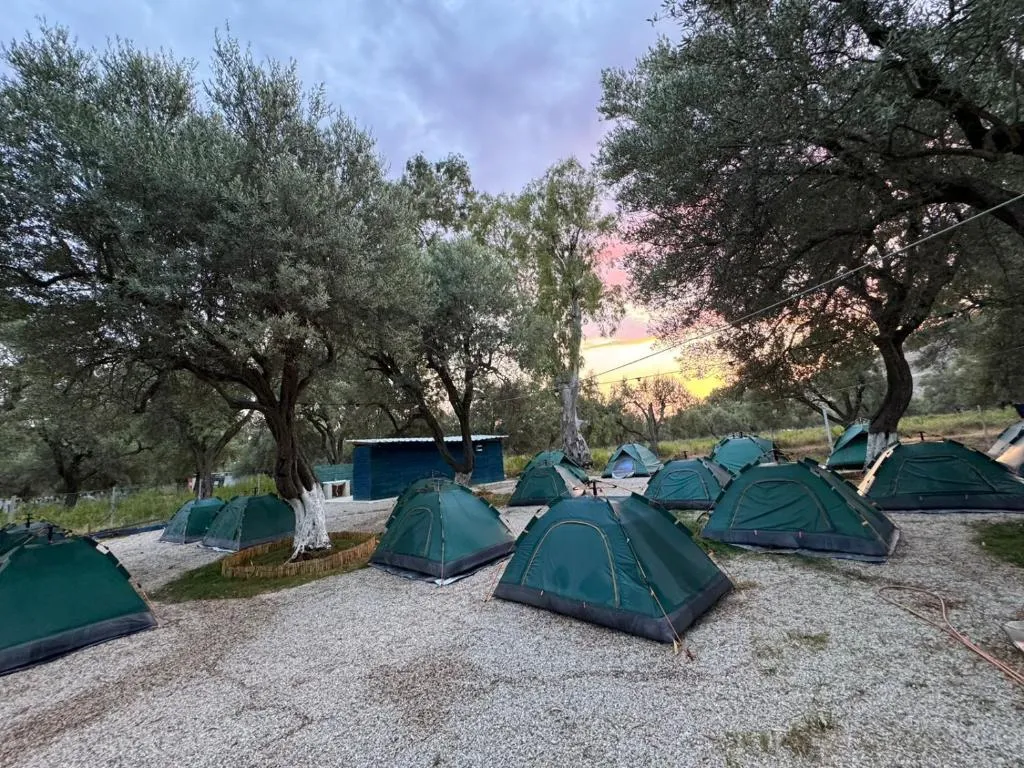 Ivy Sol Camping