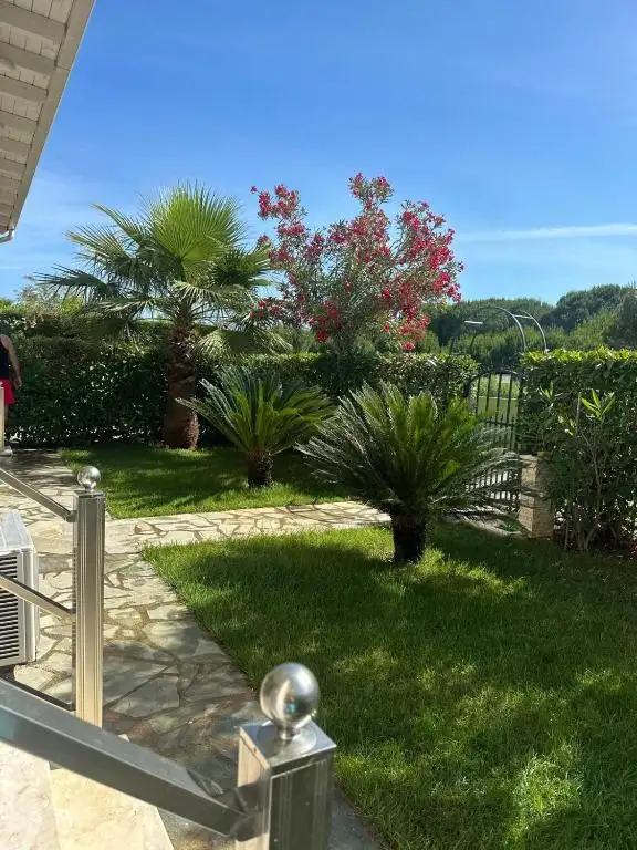 Resort Image