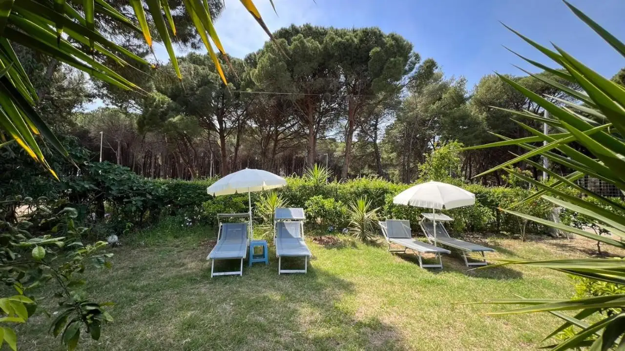 Resort Image