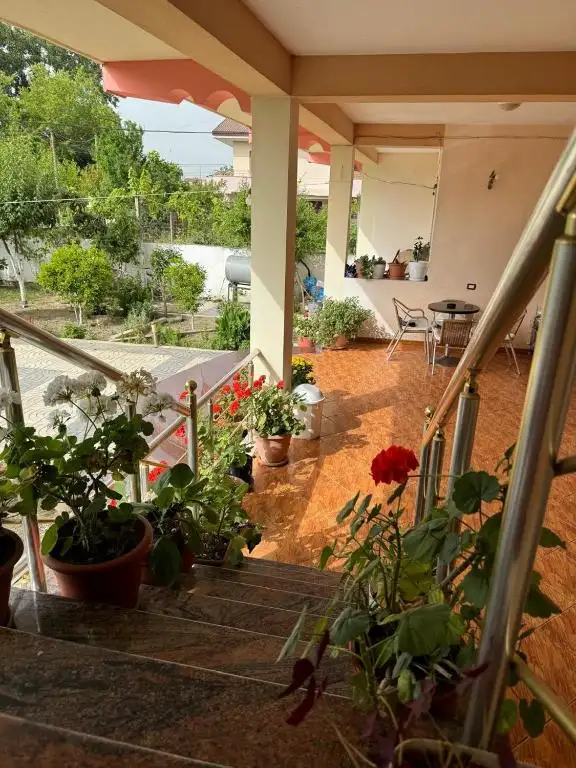 Guest house-Vila Ameli