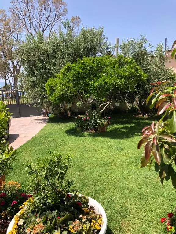 Resort Image