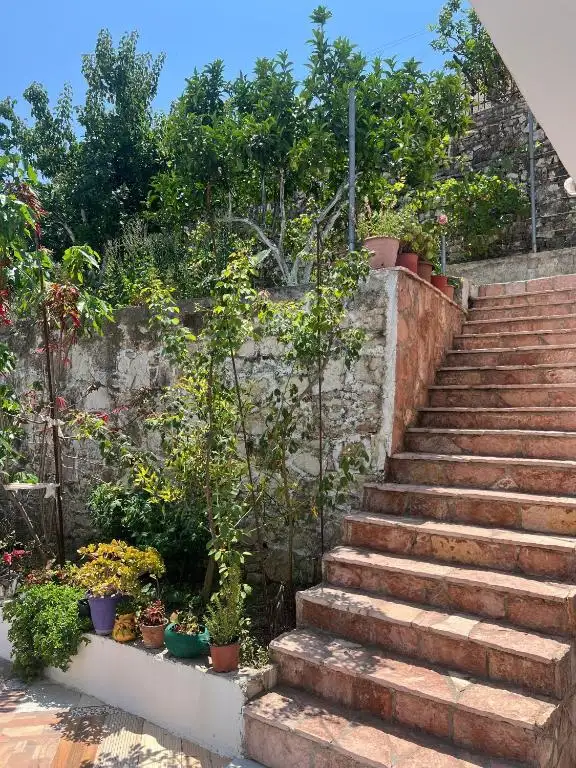 Green Nest Garden House