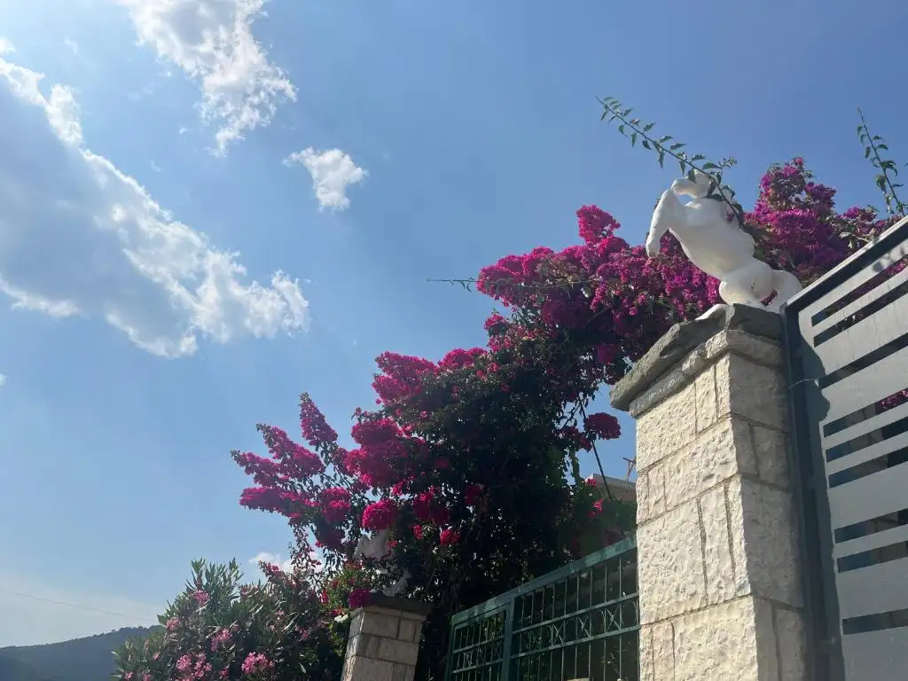 Resort Image