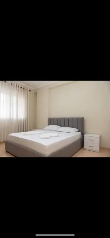 Vaip House